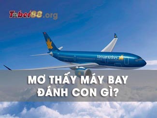 Mơ thấy máy bay đánh con gì? Ý nghĩa giấc mơ thấy máy bay