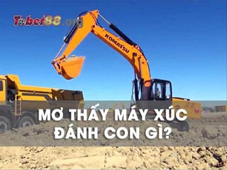 Mơ thấy máy xúc đánh con gì chắc chắn thắng? Giải mã chi tiết