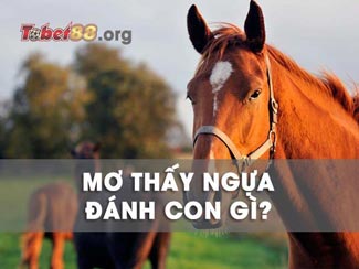 Mơ thấy ngựa: Ý nghĩa giấc mơ và đánh con gì dễ trúng?