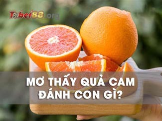 Mơ thấy quả cam: Luận giải ý nghĩa và những con số may mắn liên quan