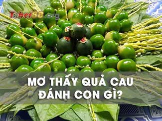 Mơ thấy quả cau đánh con gì vượng tài lộc? Giải mã giấc mơ