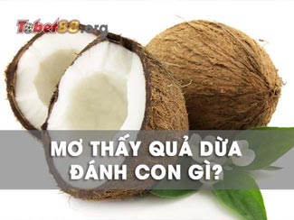 Mơ thấy quả dừa đánh con gì? Ý nghĩa giấc mơ thấy cây dừa