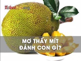 Mơ thấy quả mít dự báo điều gì? Có con số may mắn nào không?