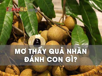 Mơ thấy quả nhãn đánh con gì? Ý nghĩa giấc mơ thấy ăn nhãn