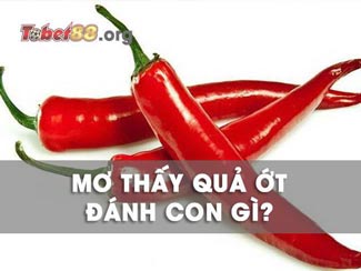 Mơ thấy quả ớt đánh con gì trúng lớn? Ý nghĩa của giấc mơ