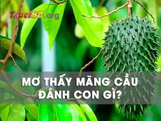 [Tìm hiểu] Ý nghĩa mơ thấy trái mãng cầu và đánh con gì?