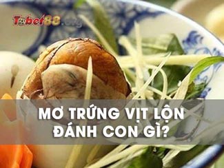 Mơ thấy trứng vịt lộn có ý nghĩa gì? Đánh con gì dễ trúng?