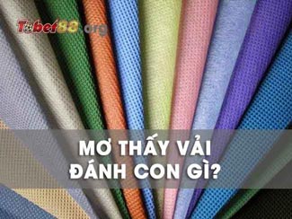 Mơ thấy vải đánh số mấy trúng đề cả lô và ý nghĩa giấc mơ?