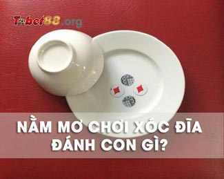 Nằm mơ thấy đánh xóc đĩa mang ý nghĩa gì? Đánh con gì dễ trúng?