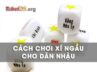 Cách chơi Xí ngầu uống rượu bia xả stress với bạn bè cực cuốn!